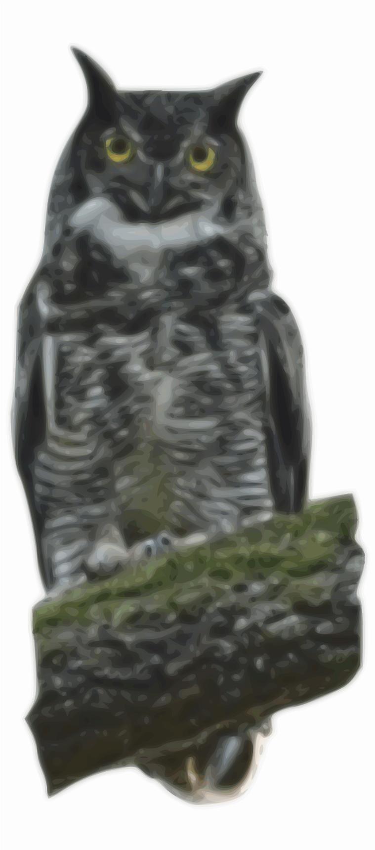 Great Horned Owl, bleach bypass png transparent