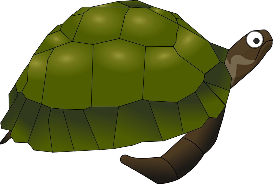 Green cartoon turtle png transparent