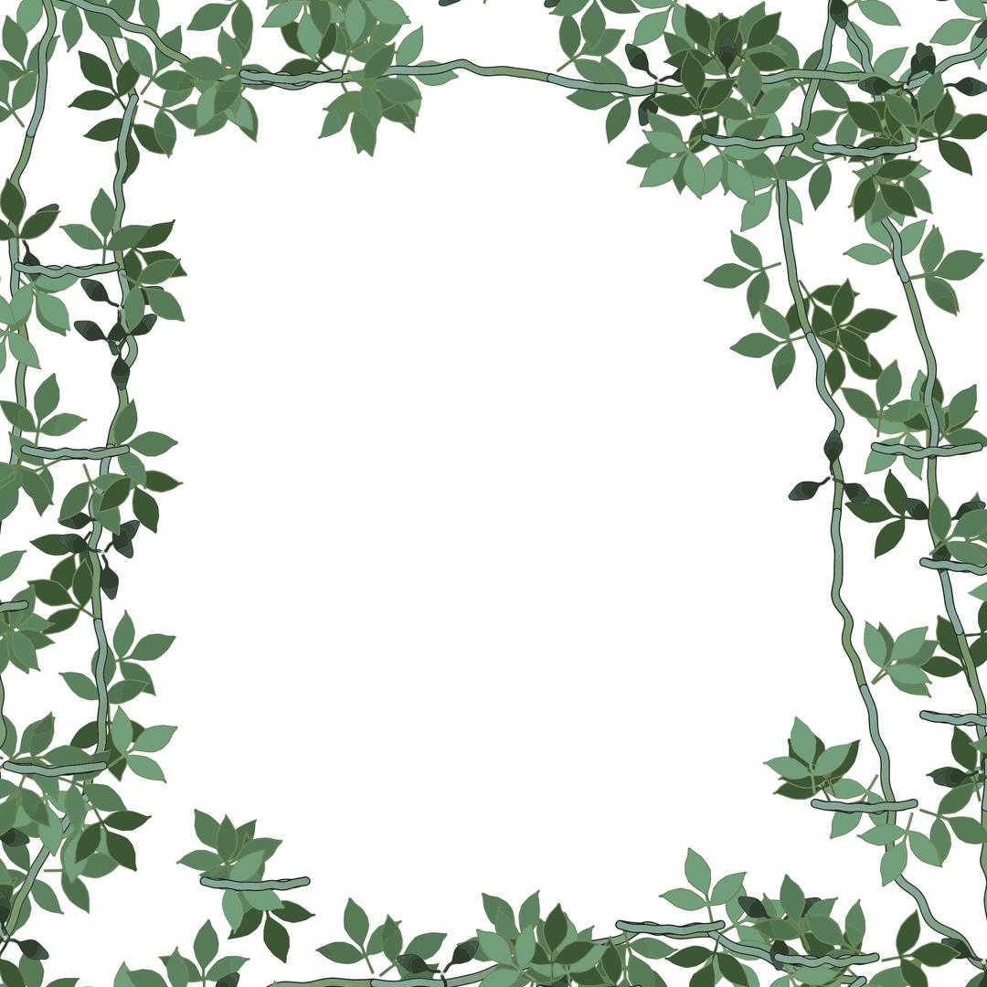 Green Floral Frame png transparent