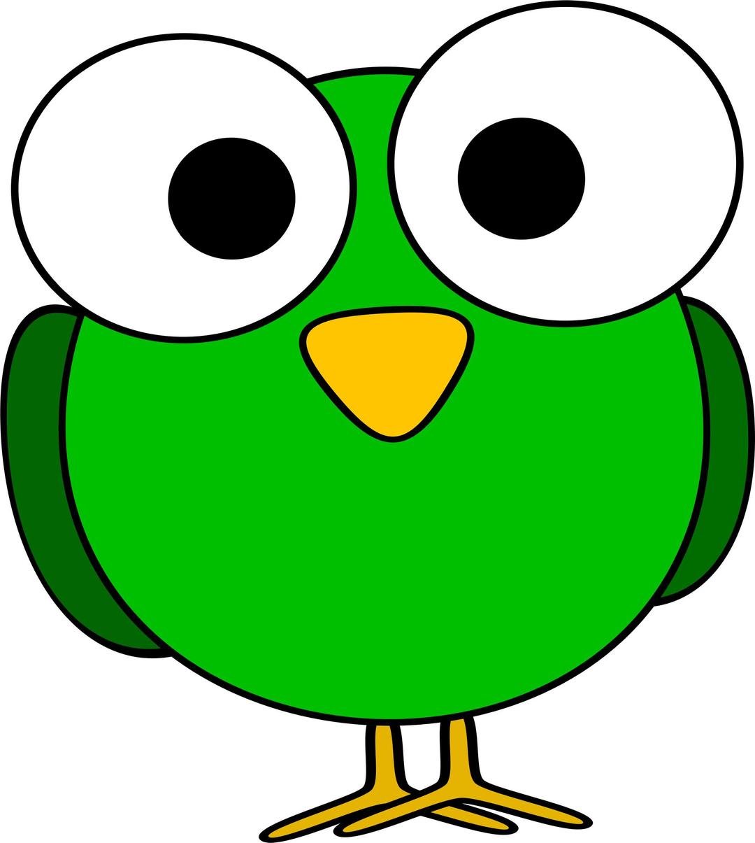 Green googly-eye bird png transparent
