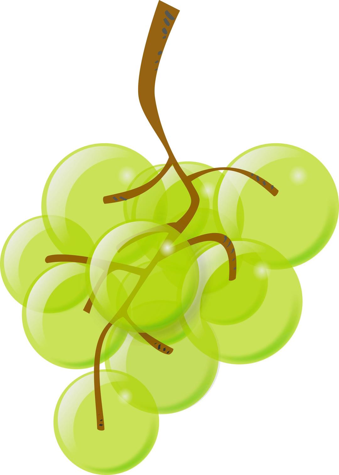 green grapes png transparent