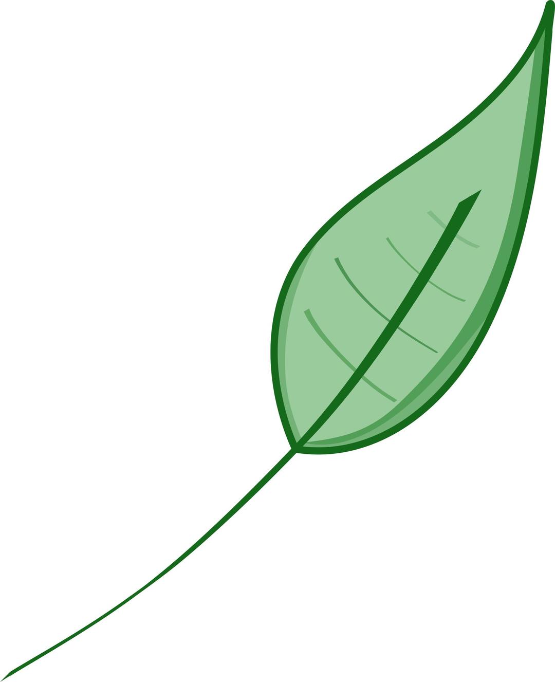 Green leaf png transparent