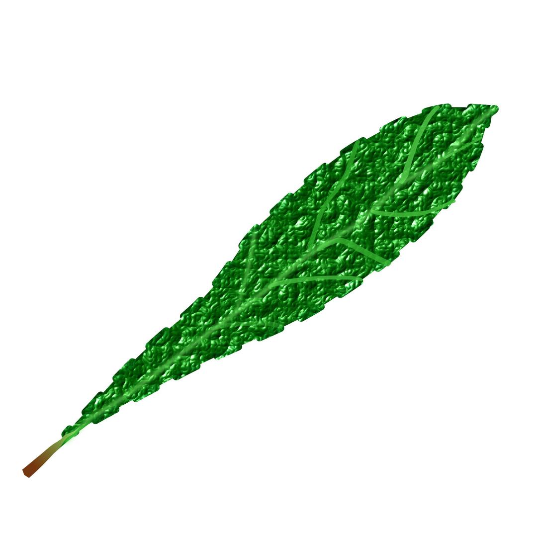Green leaf 2, textured png transparent