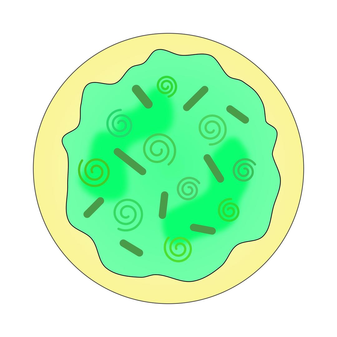 Green Swirl Sugar Cookie png transparent