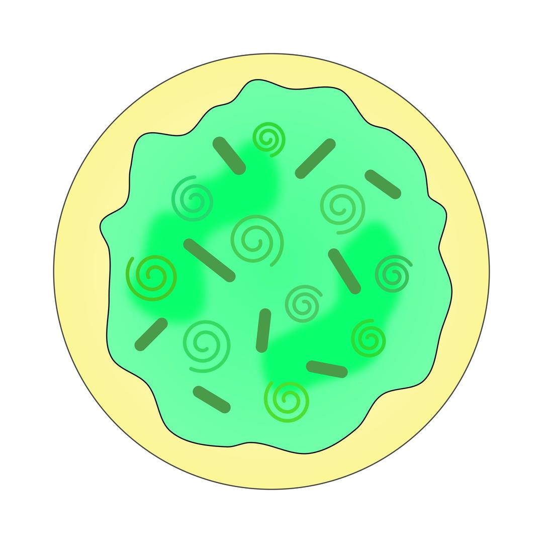 Green Swirl Sugar Cookie - Solid png transparent