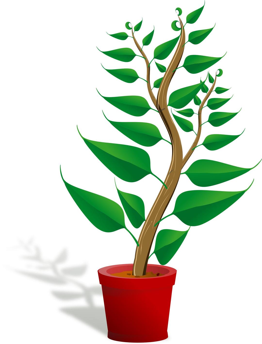 Green tall plant in its pot png transparent