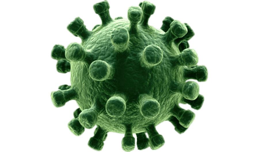 Green Virus png transparent
