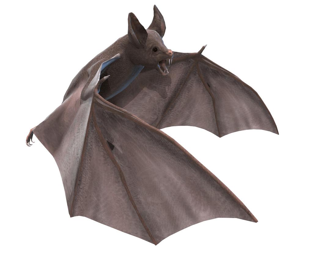 Grey Bat 3D Illustration png transparent