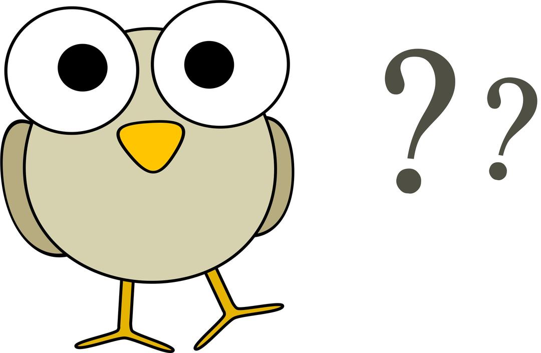 Grey bird with question marks png transparent