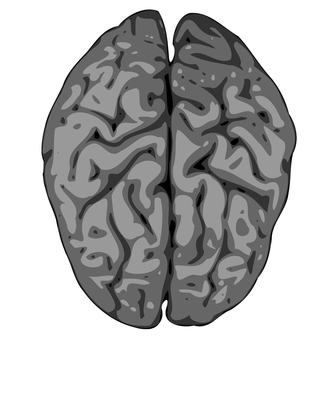 grey brain png transparent