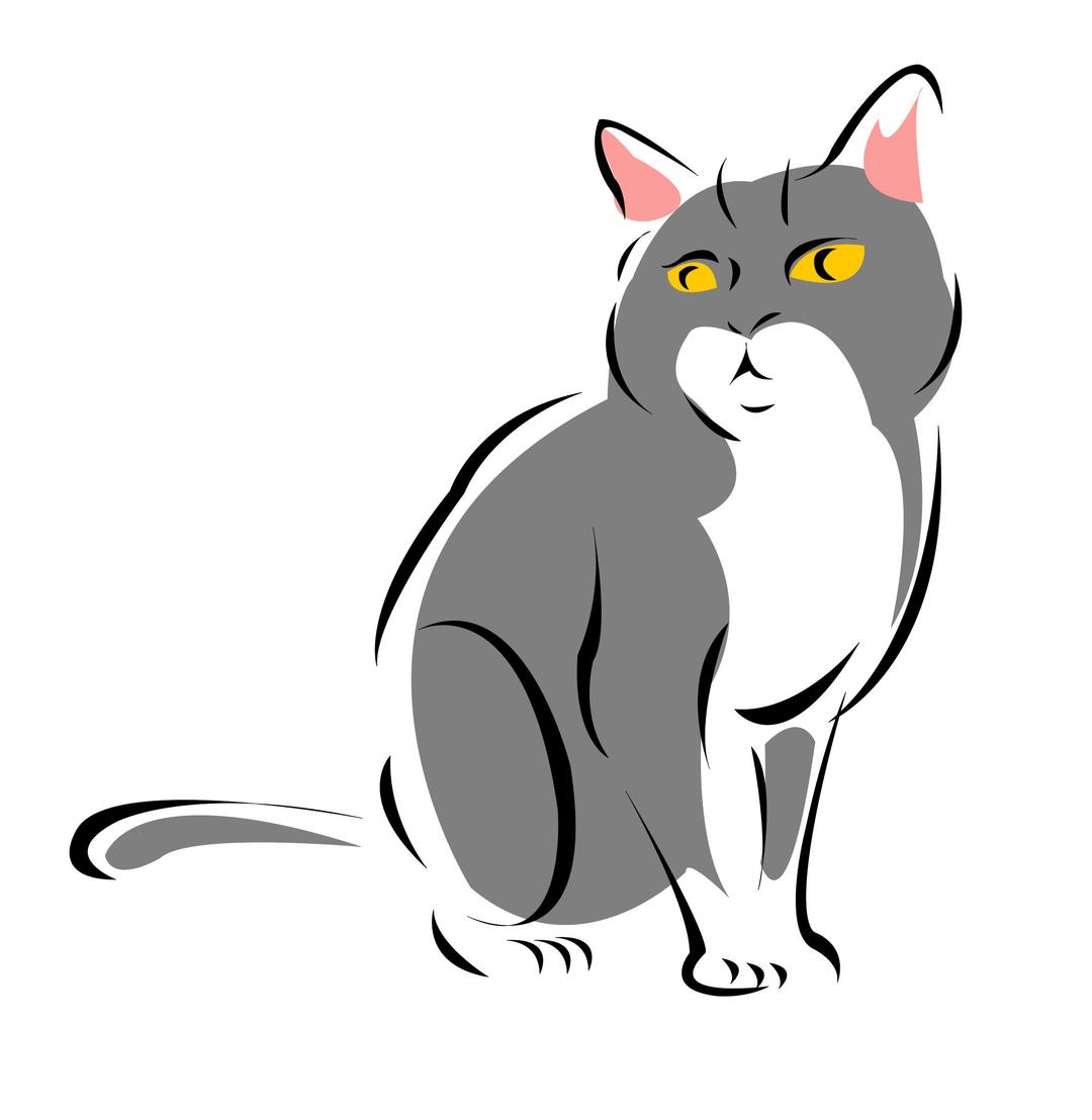 Grey cat png transparent