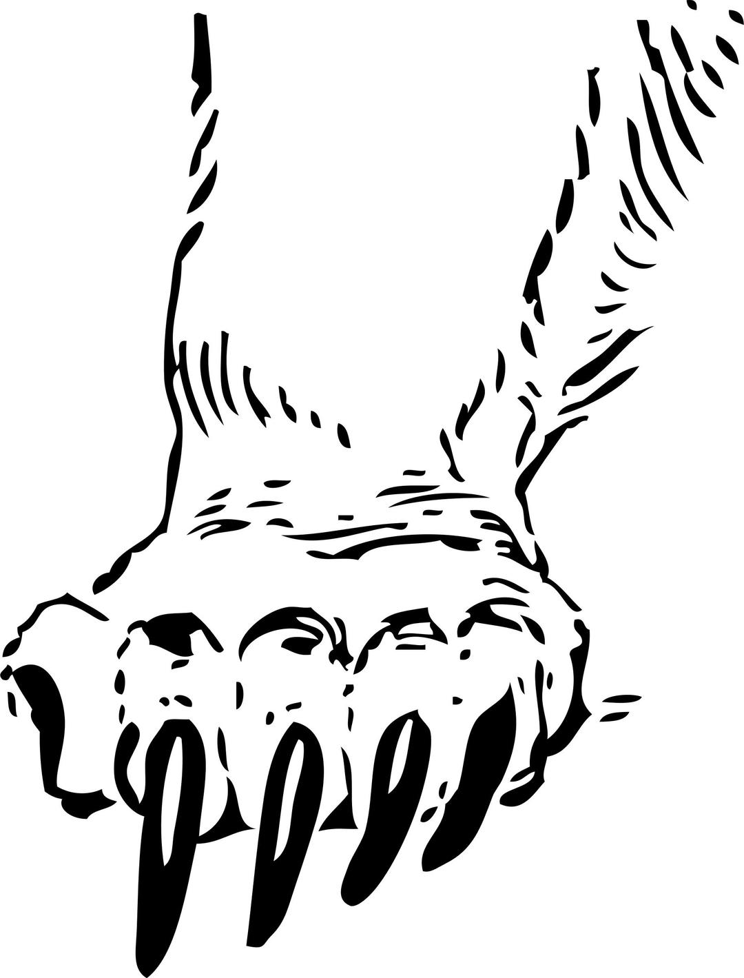 grizzly paw png transparent