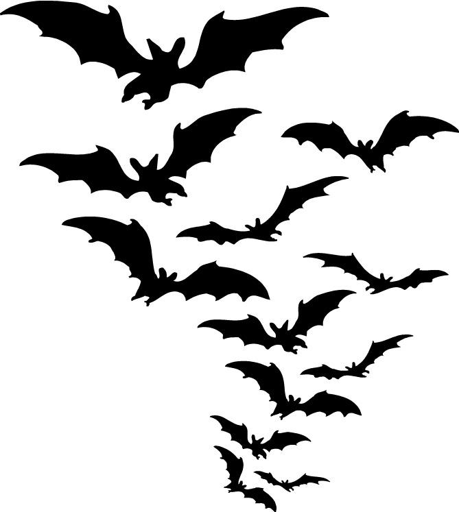 Group Of Bats Clipart png transparent