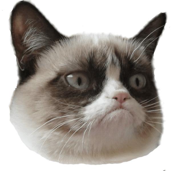 Grumpy Cat Head Right png transparent