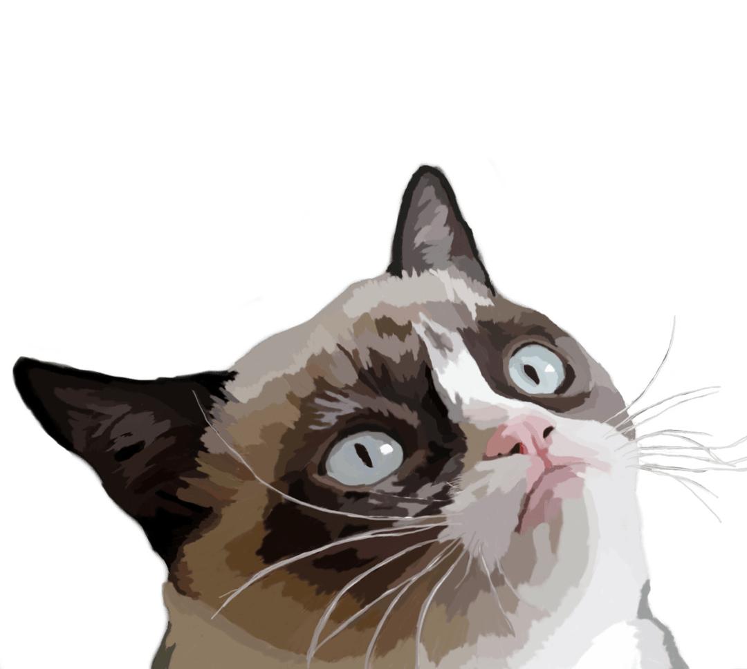 Grumpy Cat Vector Illustration png transparent
