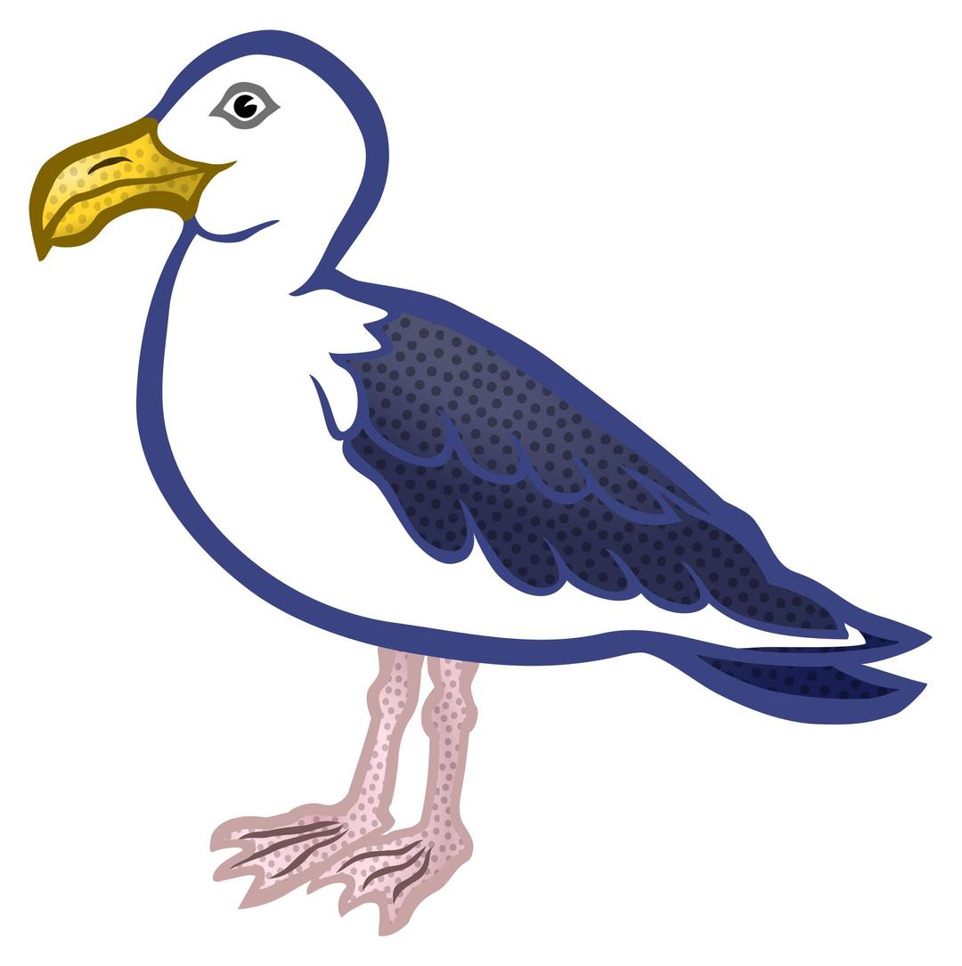 gull - coloured png transparent