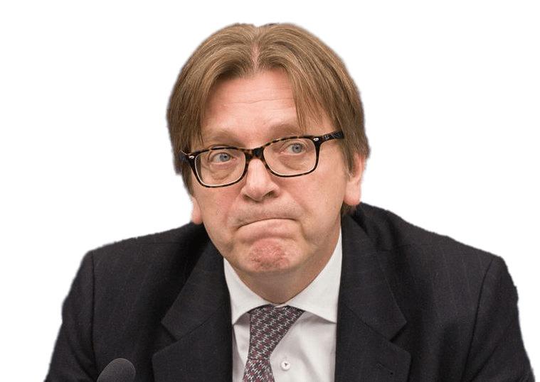 Guy Verhofstadt Serious png transparent