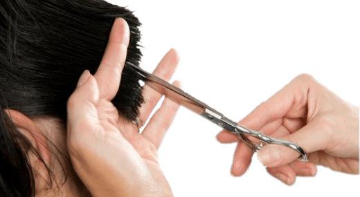 Hair Chipping png transparent