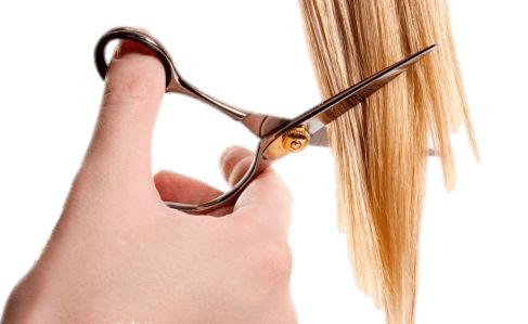 Hair Cutting Blond png transparent