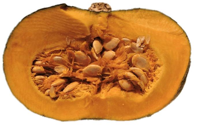 Half Pumpkin With Visible Seeds png transparent