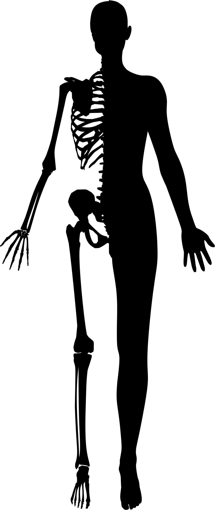 Half Woman Half Skeleton Silhouette png transparent