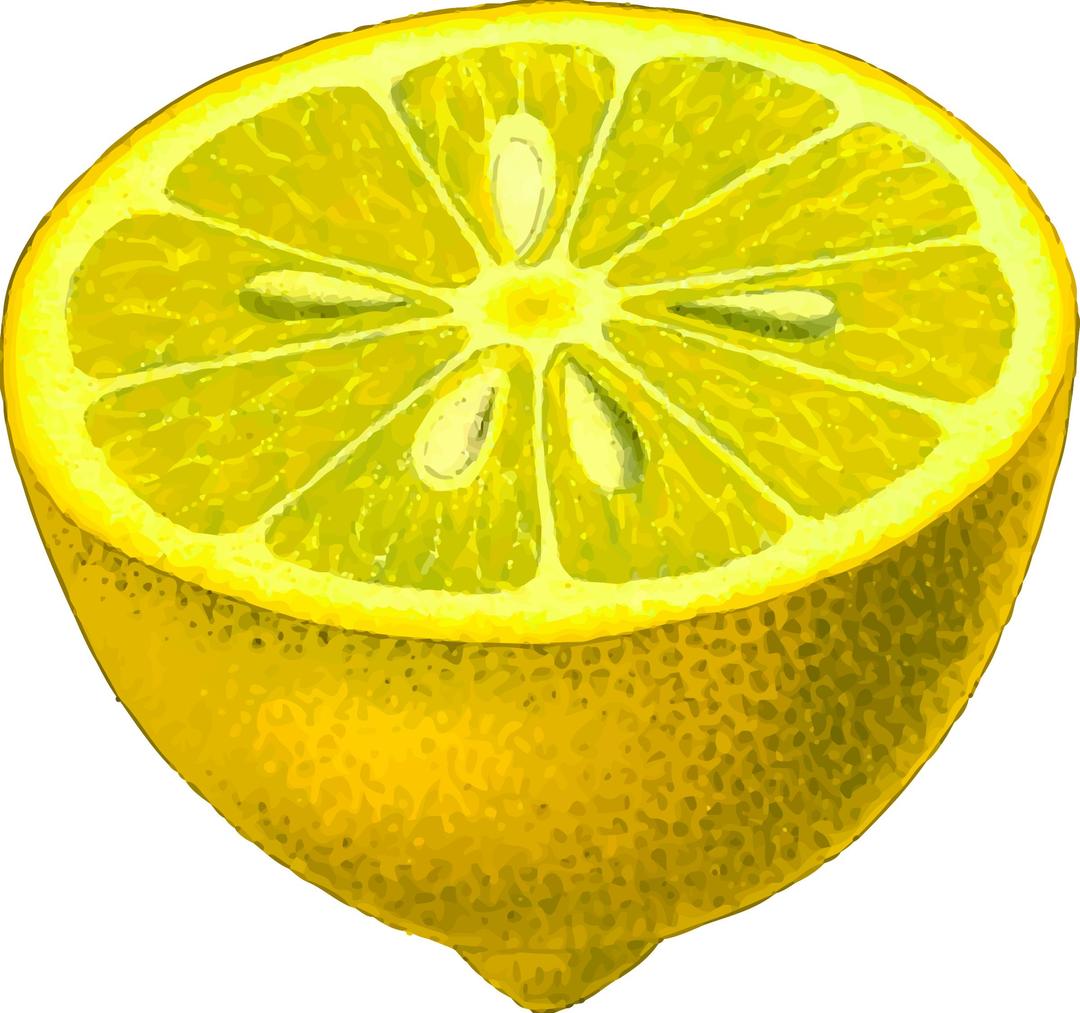 Half-lemon (detailed) png transparent