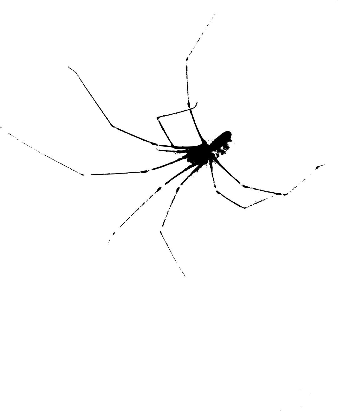 Halloween Scary Spider png transparent
