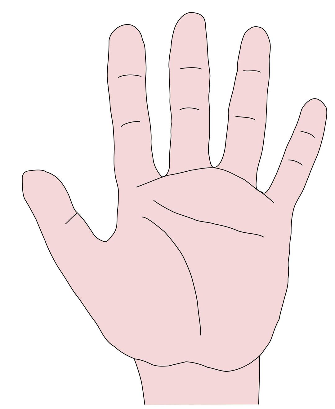 Hand png transparent