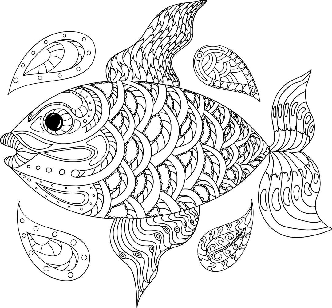 Hand drawn fish png transparent