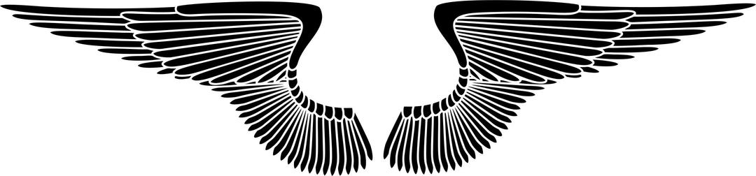 Hand Drawn Wings Silhouette png transparent