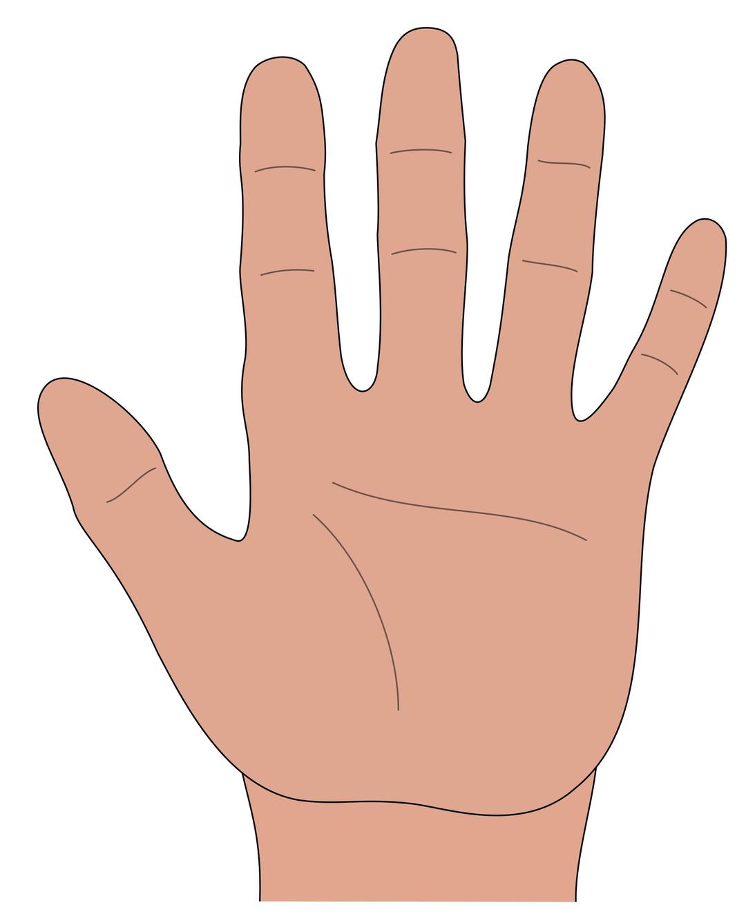 Hand open png transparent