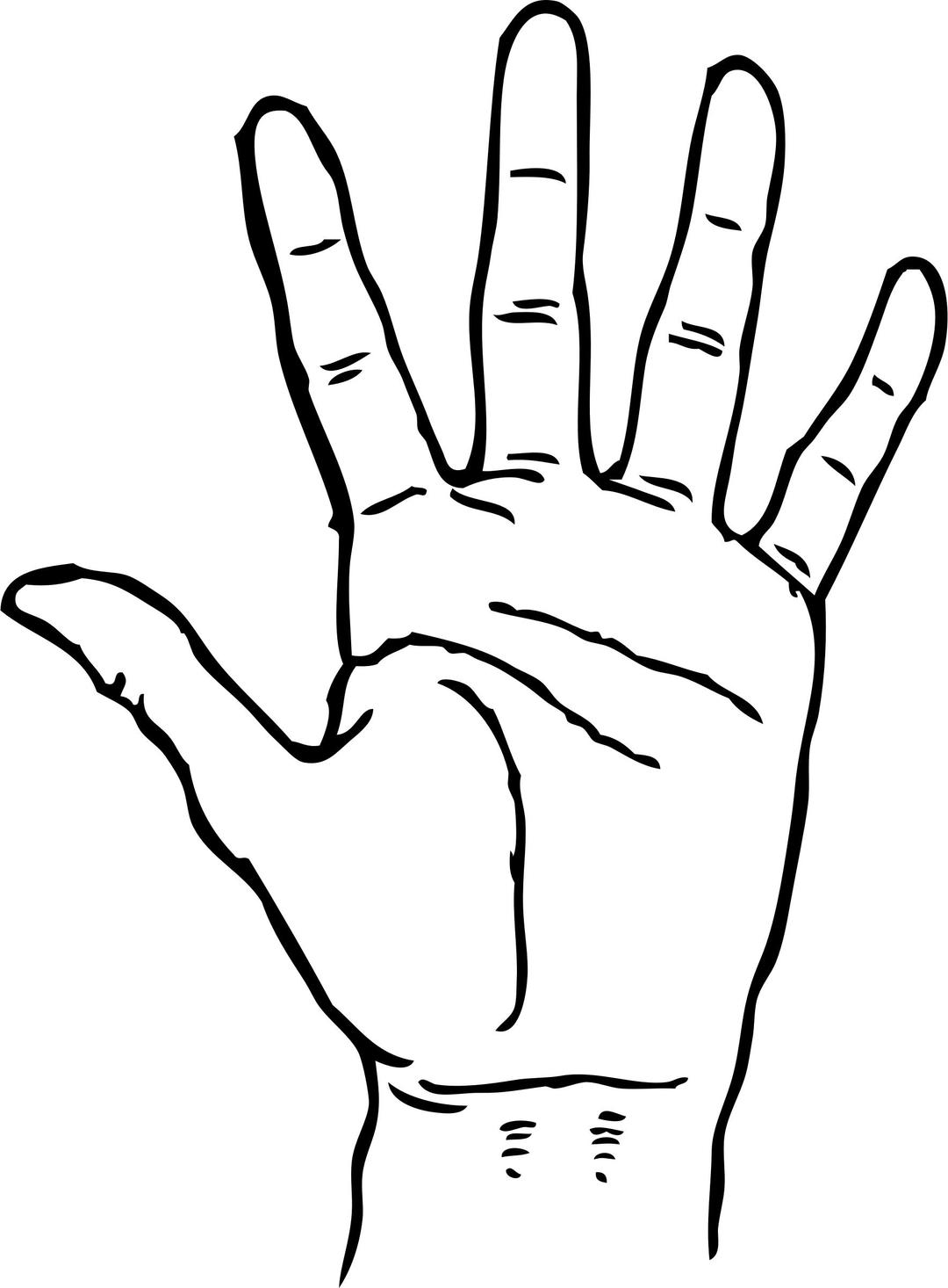 hand - palm facing out png transparent