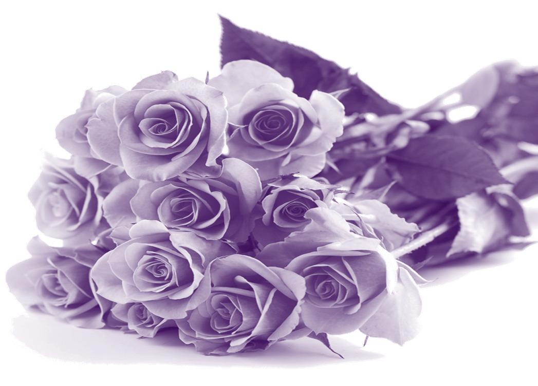 Happy Mothers Day Purple Flowers png transparent