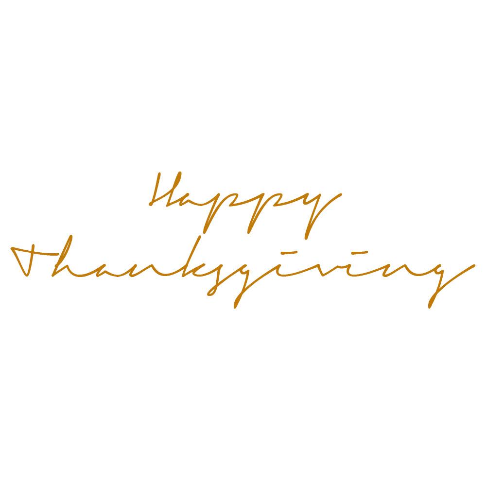 Happy Thanksgiving Signature Text png transparent