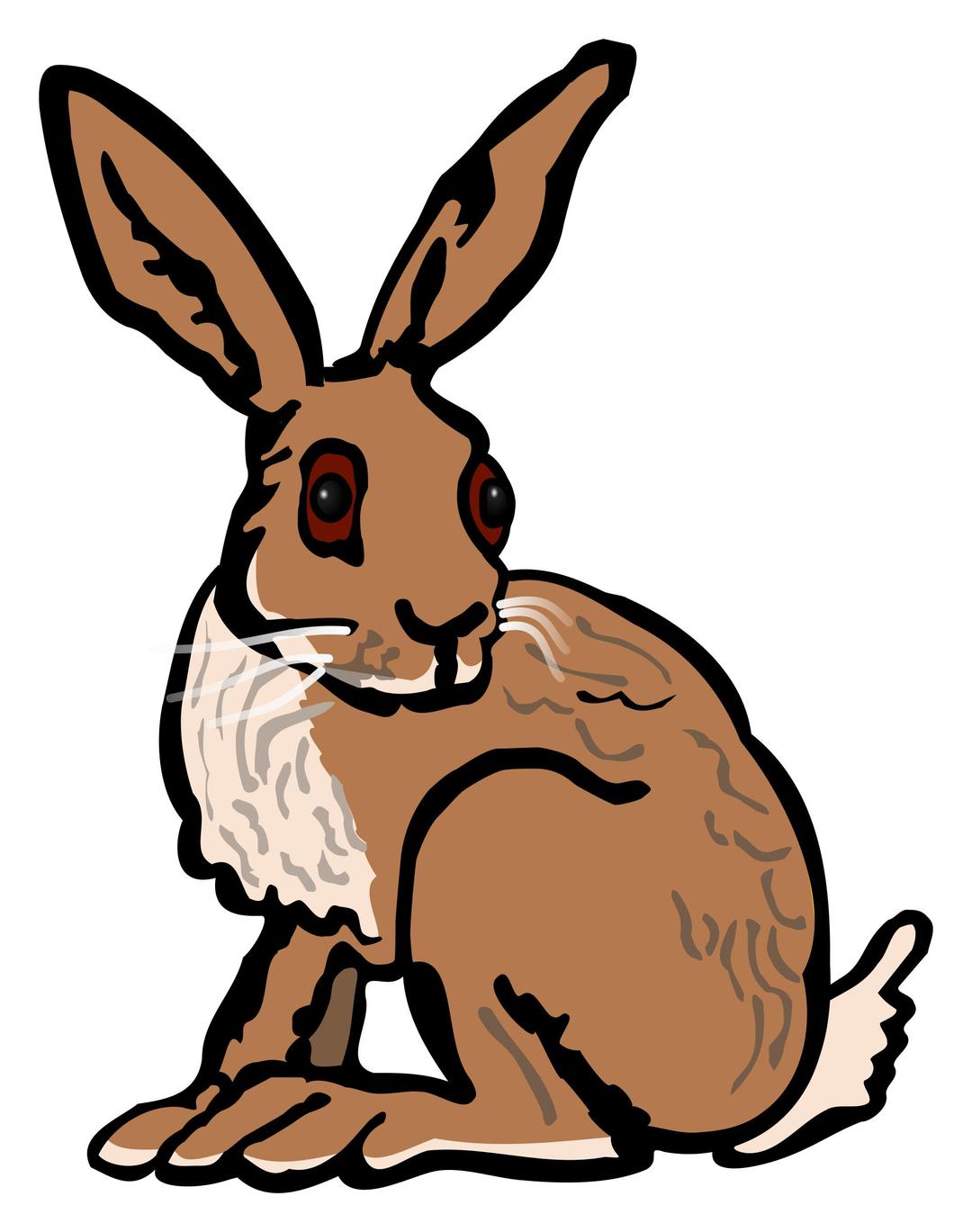 Hare - coloured png transparent