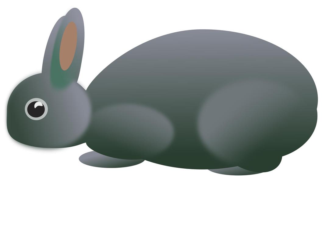 Hase-9569 png transparent