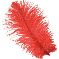 Hat Feather png transparent