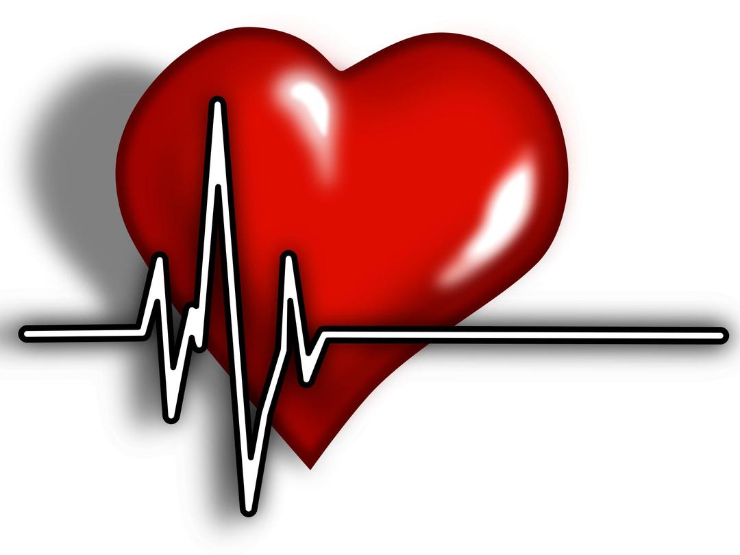 Heart ECG Logo png transparent