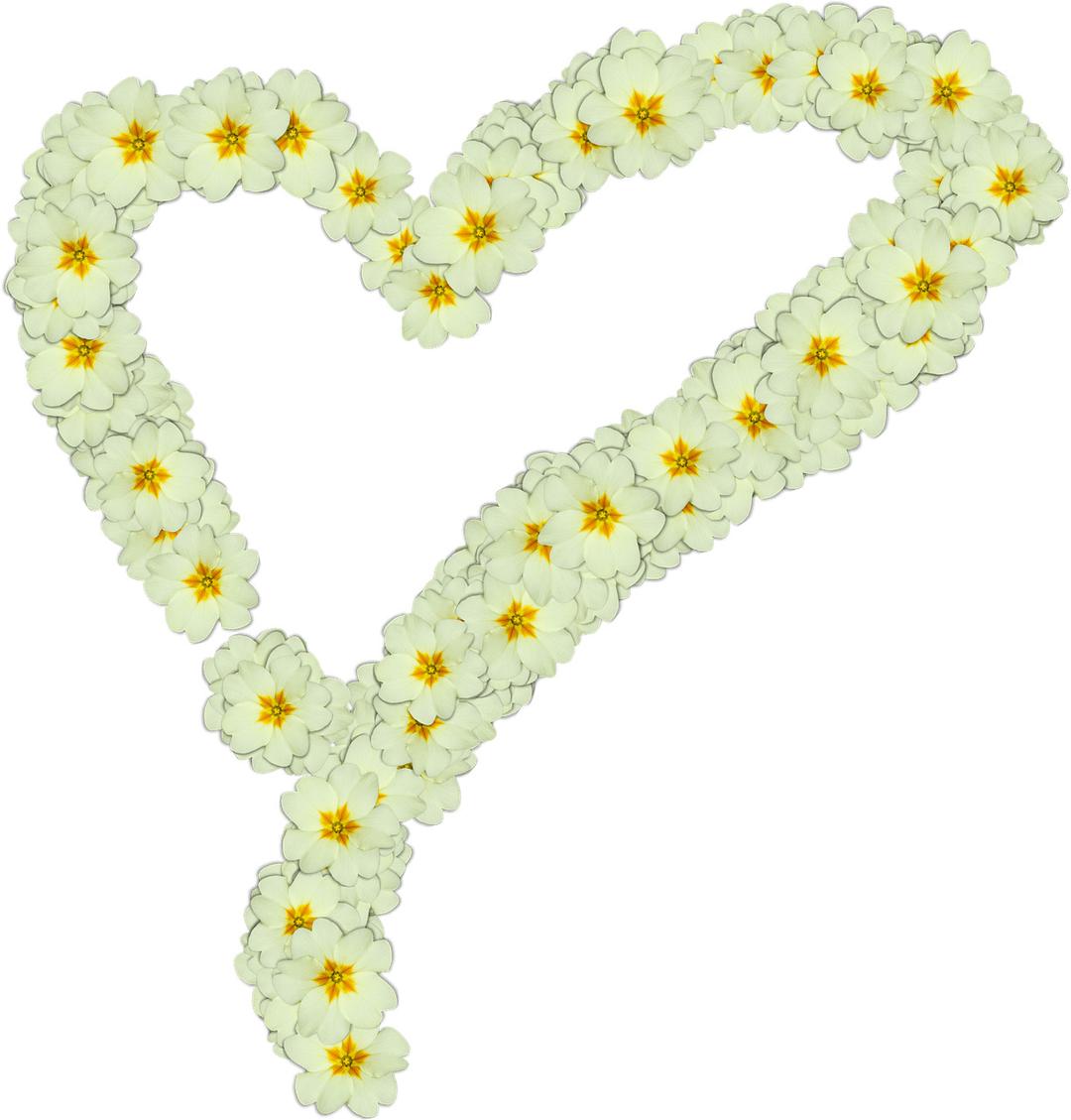 Heart Made Of White Flowers png transparent