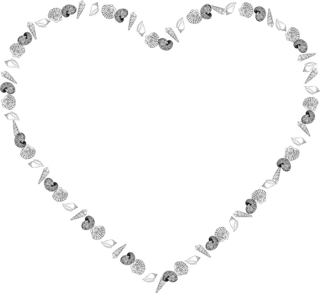 Heart Shells png transparent