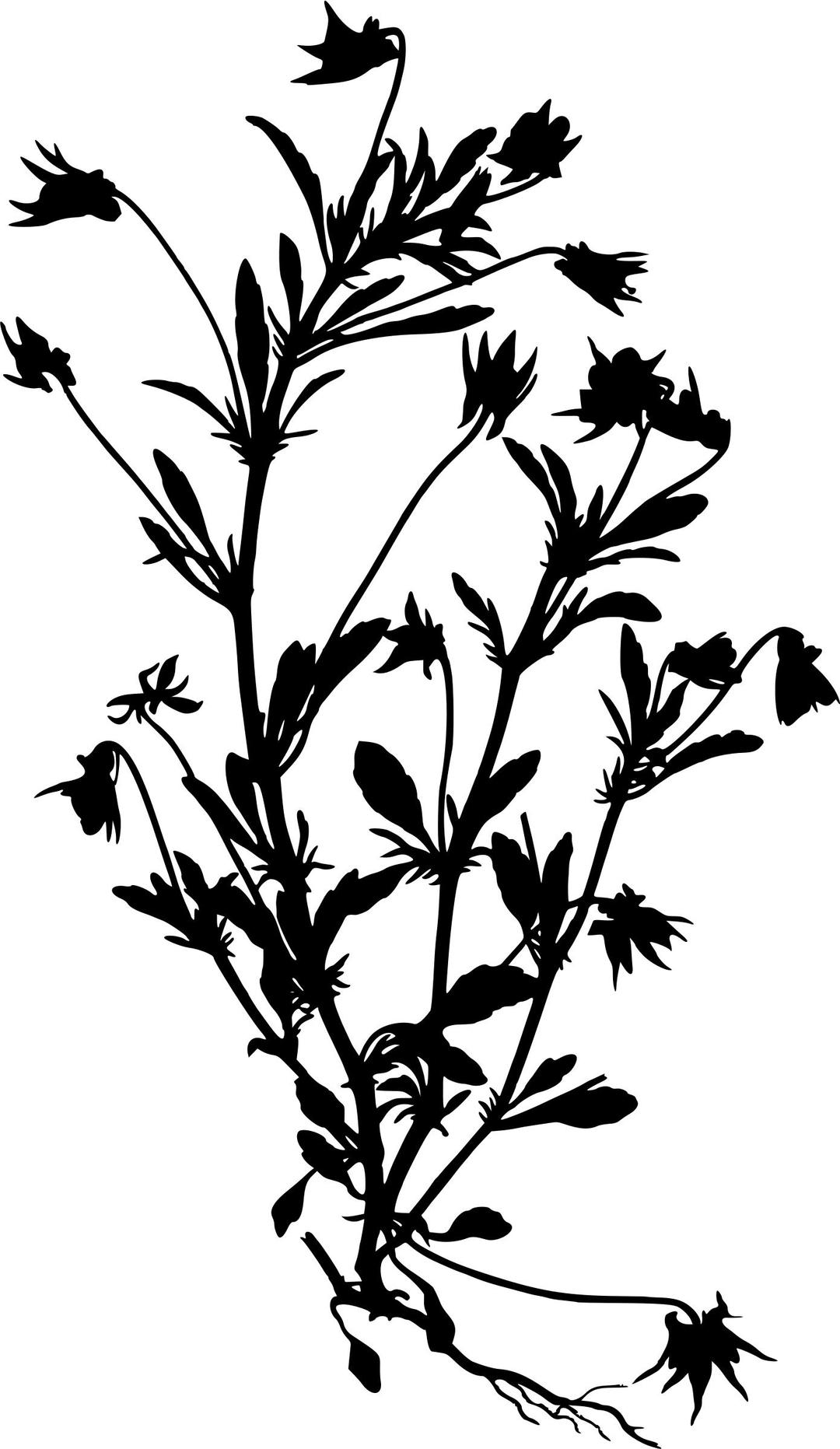 Heartsease 2 (silhouette) png transparent