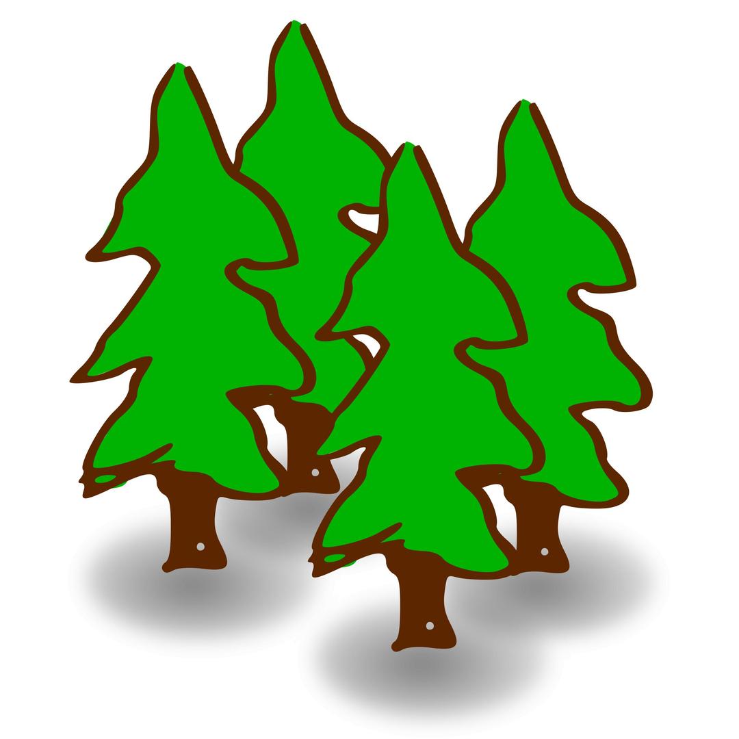 Heavy Evergreen png transparent