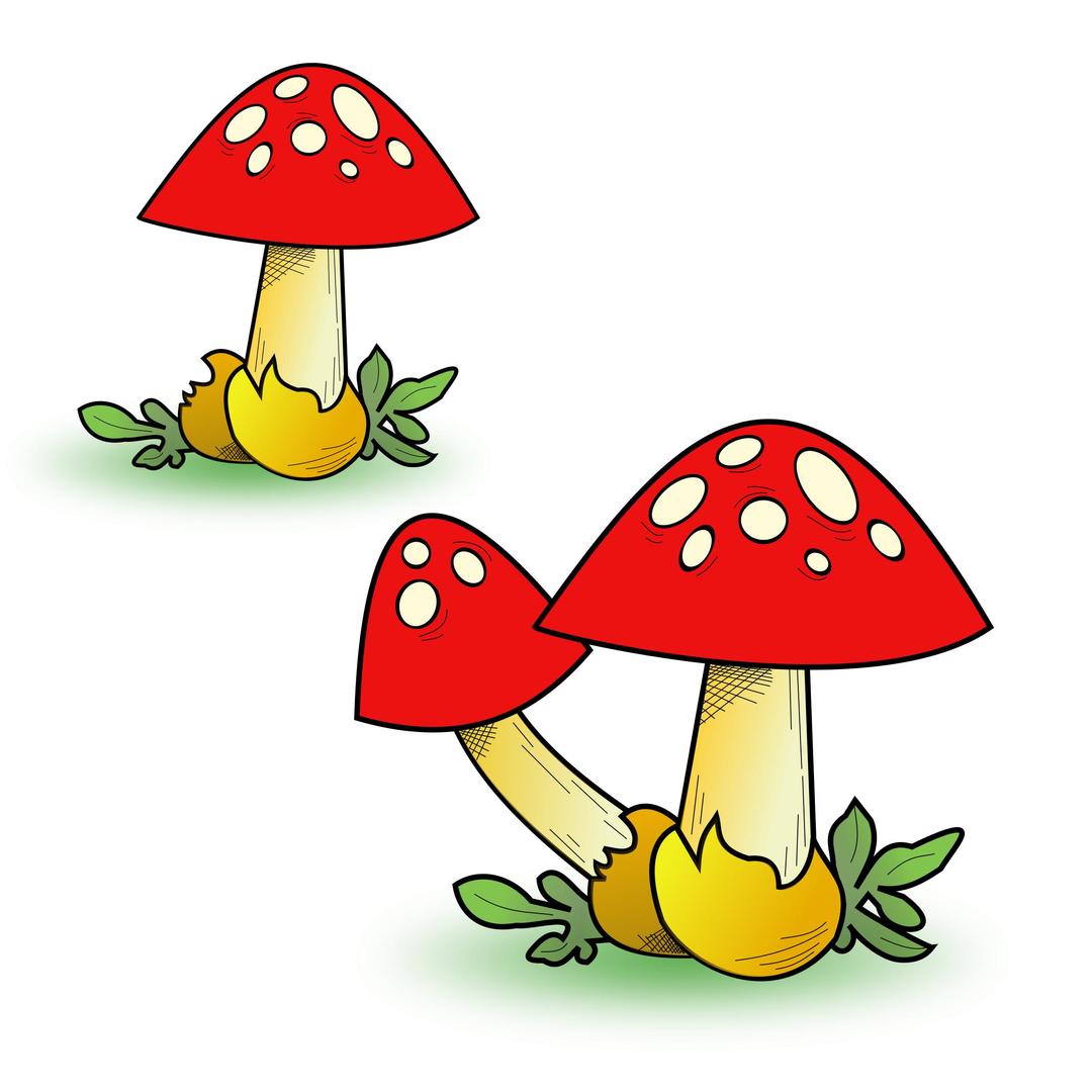 Heavy Fungal Forest png transparent