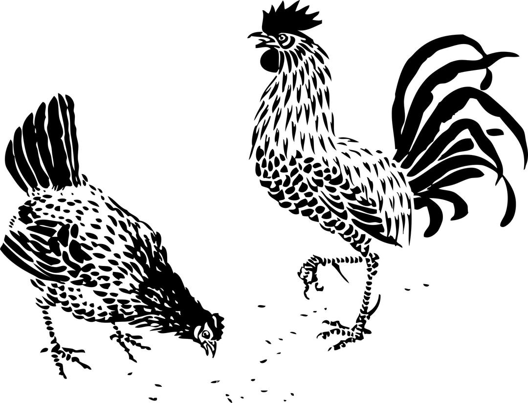 hen and rooster png transparent