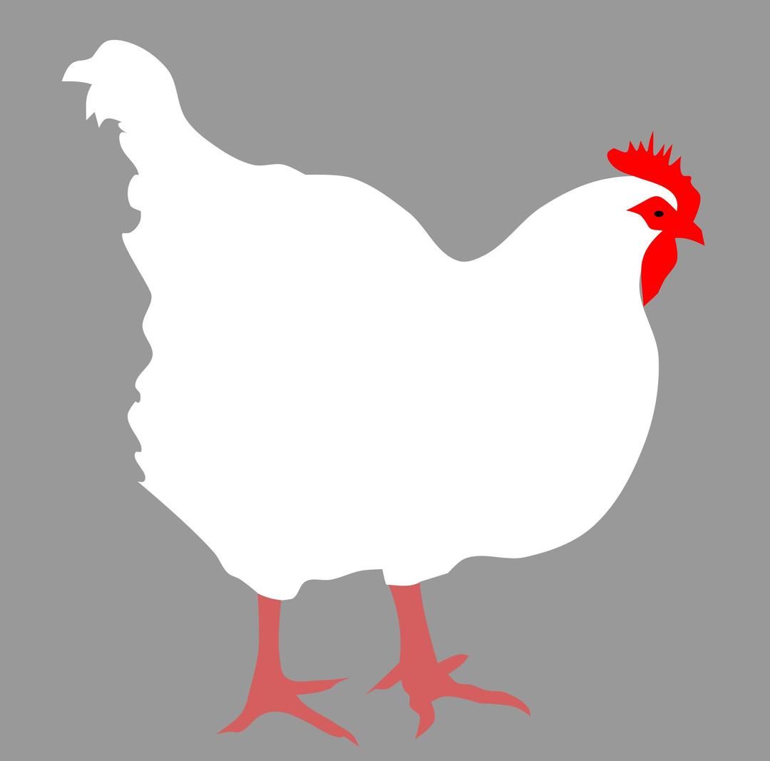Hen by Rones png transparent