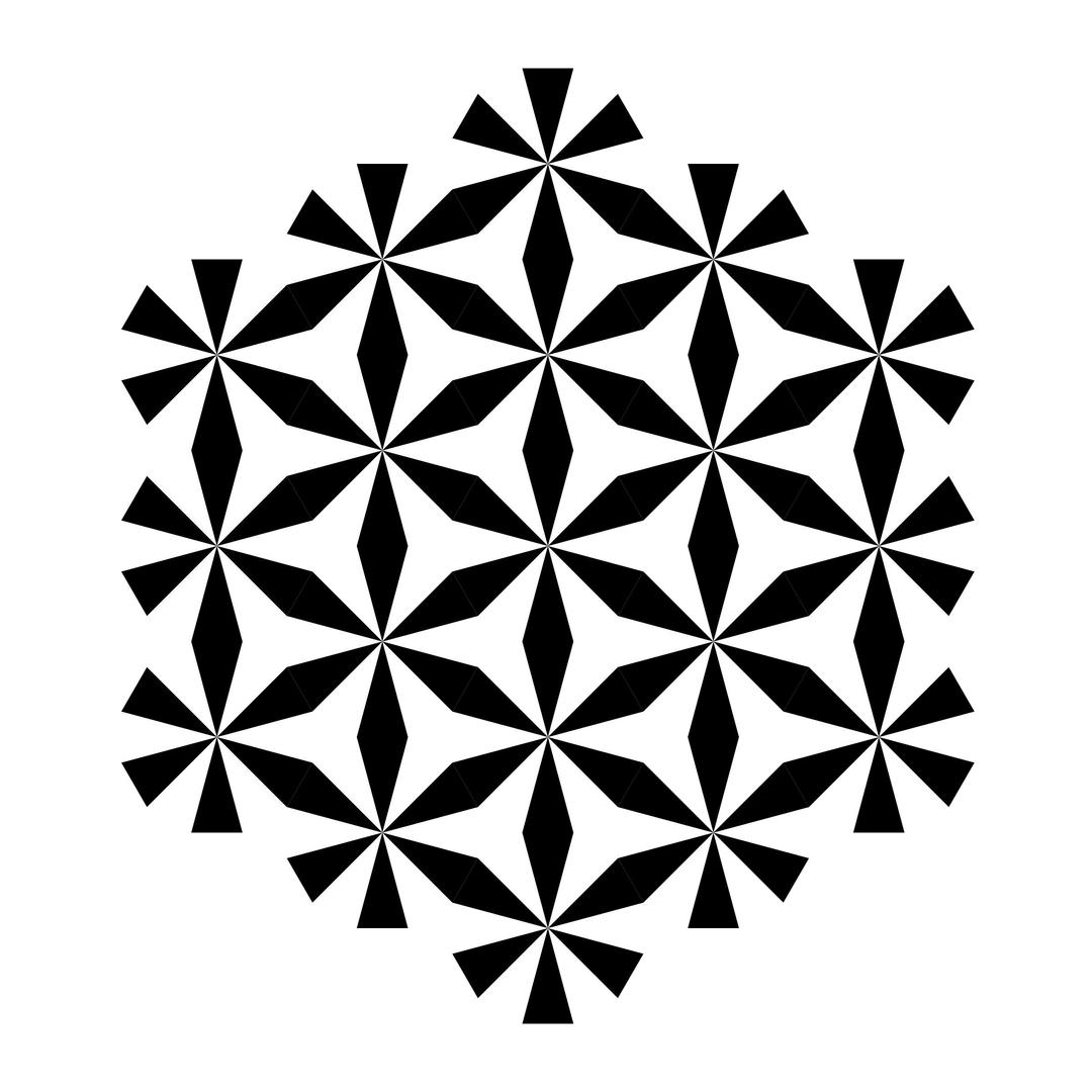 hexagonal star of zebra dodecagon png transparent