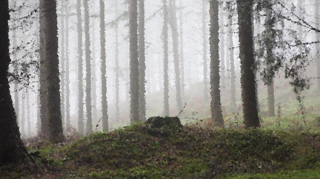 High Poly Fog Enshrouded Forest png transparent