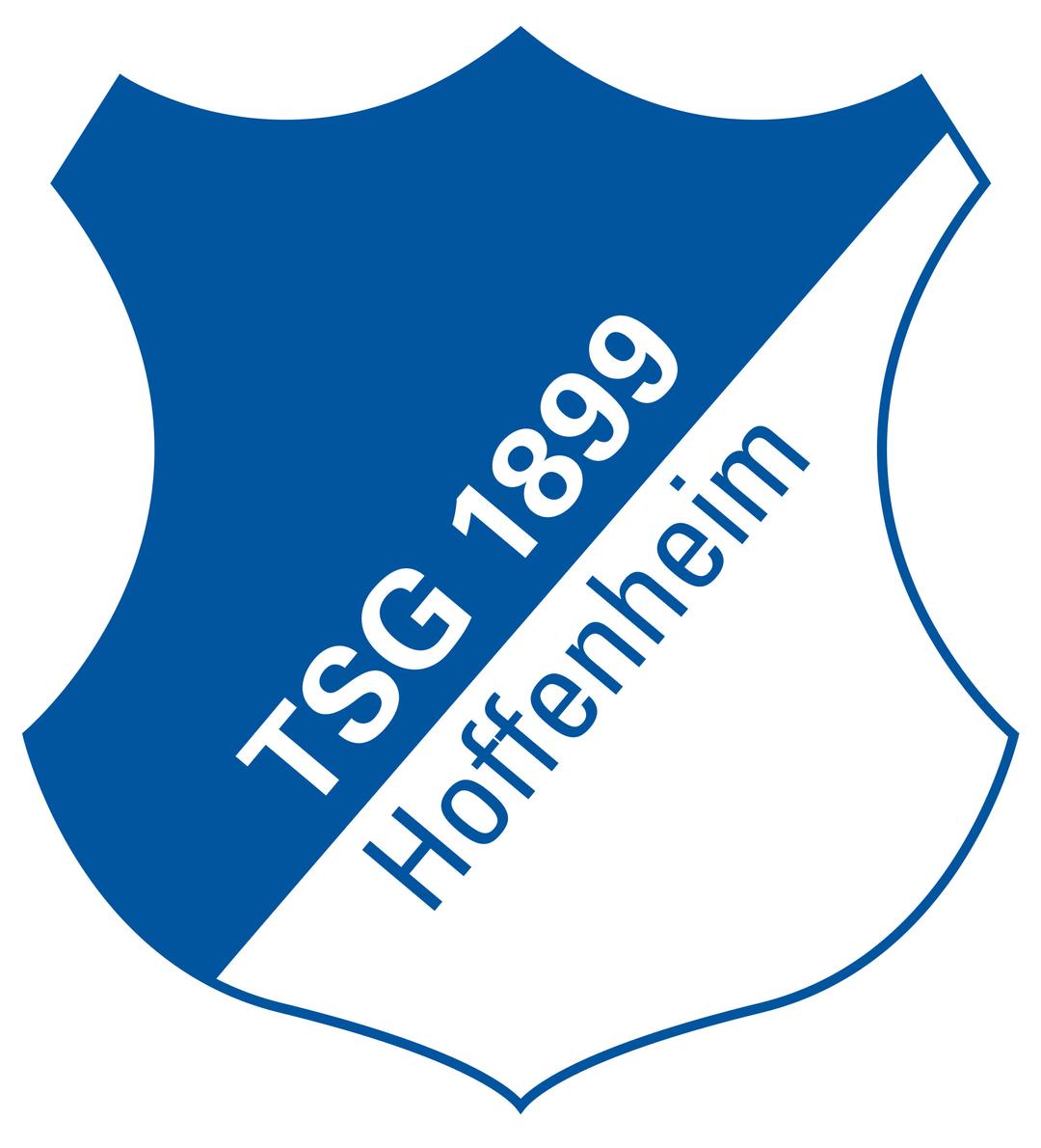 Hoffenheim Logo png transparent