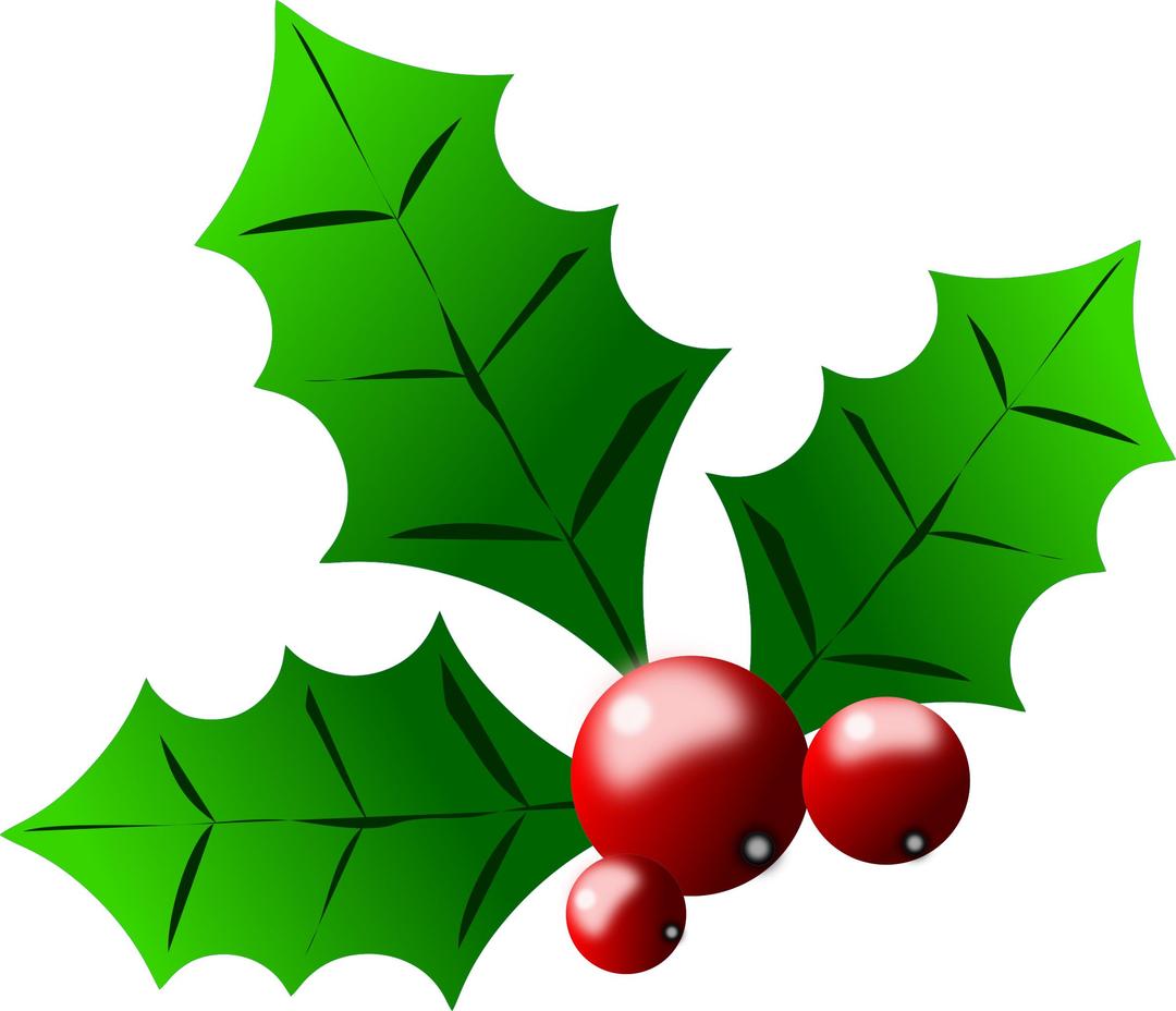 holly berries png transparent