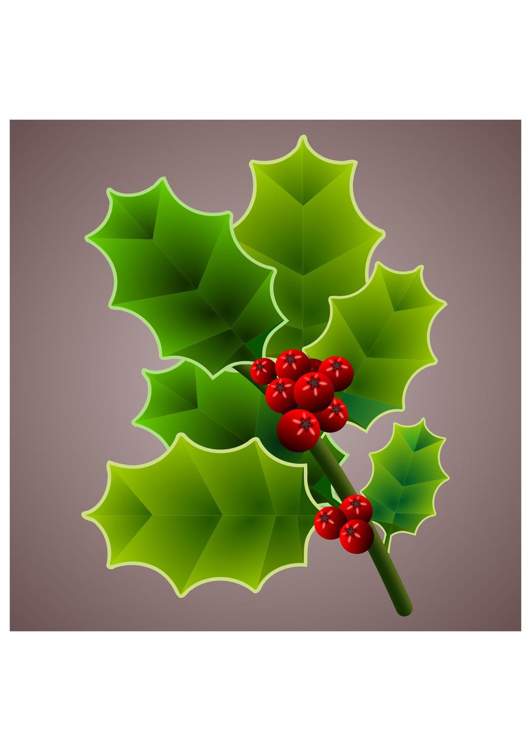 Holly branch 3 png transparent